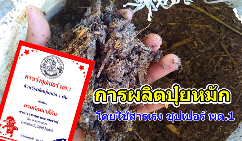 แนวทางการผลิตปุ๋ยหมัก โดยใช้สารเร่ง ซุปเปอร์ พด.1