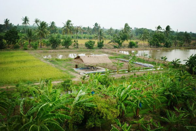 ไร่นาสวนผสม