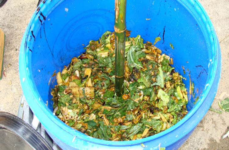 สูตรปุ๋ยหมักยอดพืชยอดผัก